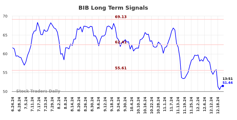 Bib proshares sales